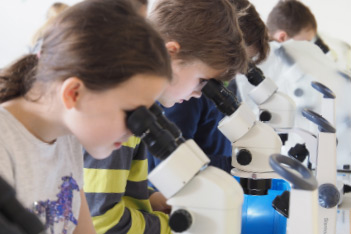 Kinder am Mikroskop