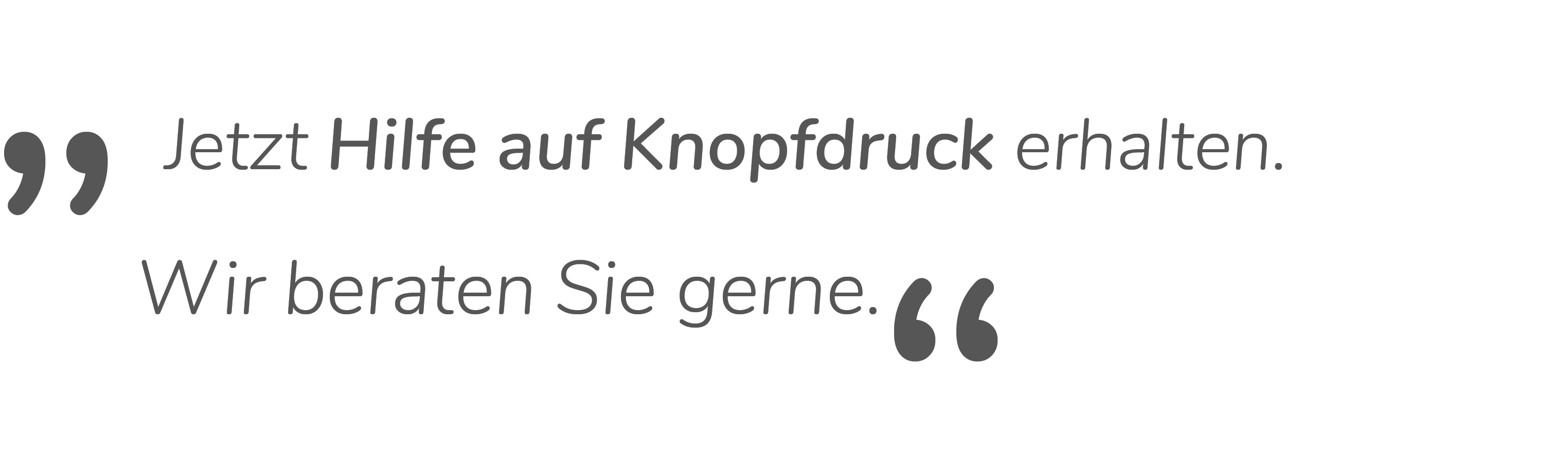 Zitat: Jetzt Hilfe auf Knopfdruck erhalten.